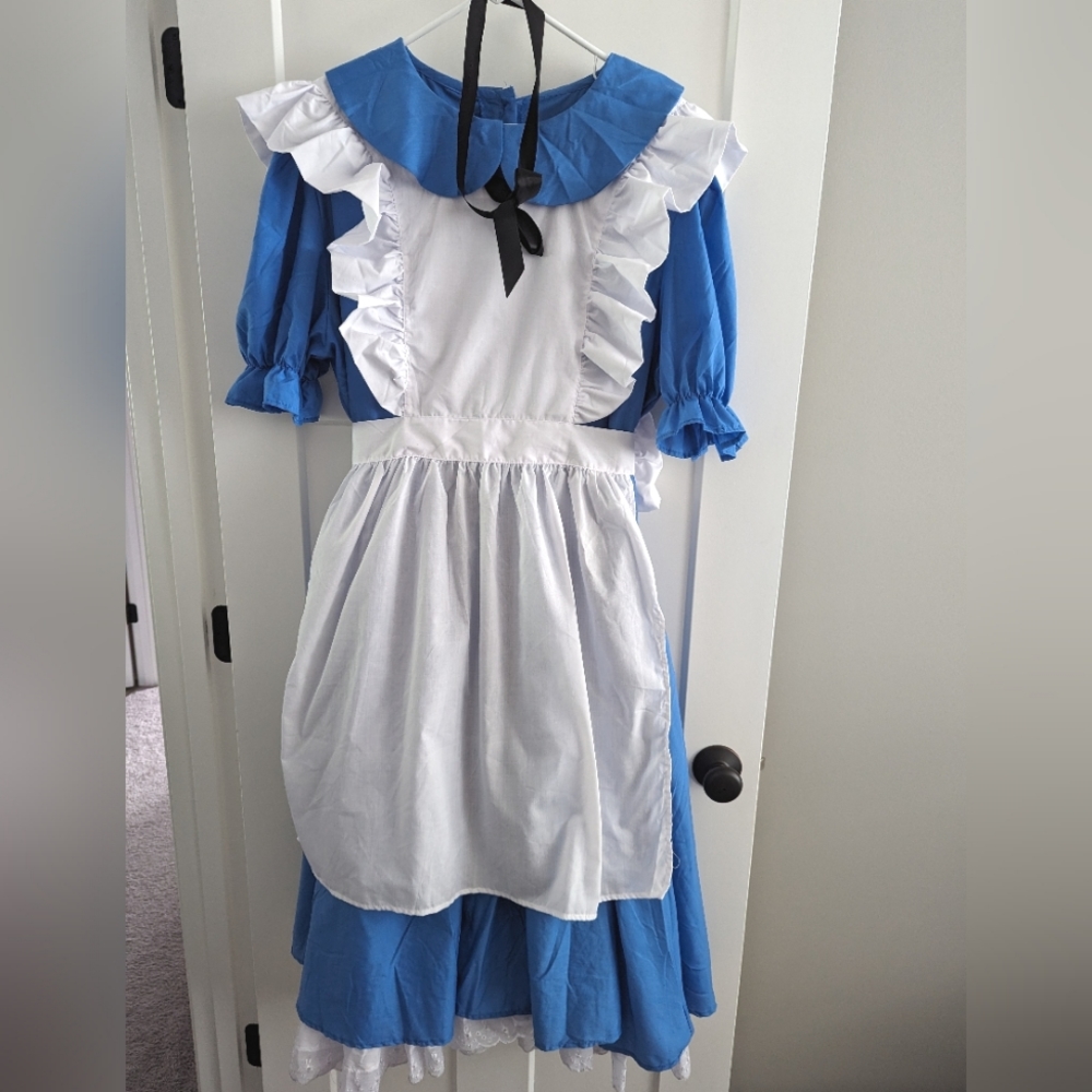 Women's Alice in Wonderland Costume